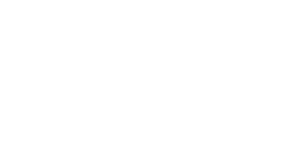 InfoVision